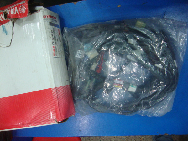 R15 V2,V3 WARRING Set