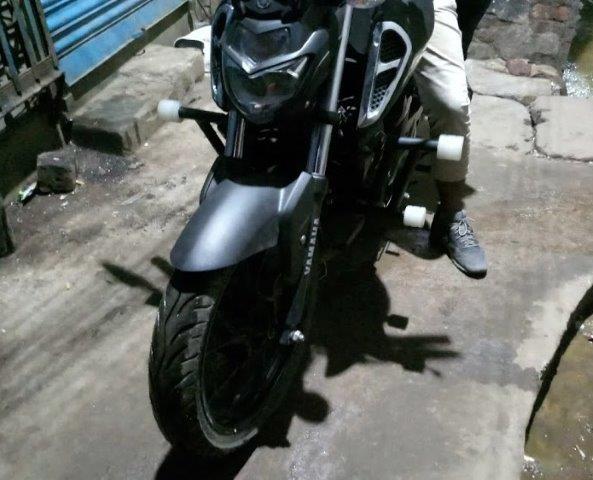 FZS FI v3 Modified Crush Guard