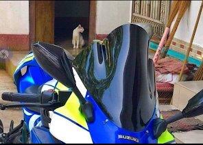 GSXR Vigor Glass Triple Bubble