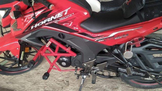 Hornet Modified Crush Guard